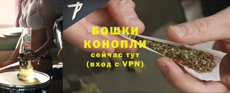 KRAKEN   Уссурийск  Бошки Шишки OG Kush 